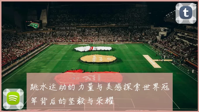 跳水运动的力量与美感探索世界冠军背后的坚毅与荣耀