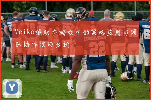 Meiko辅助在游戏中的策略应用与团队协作技巧分析